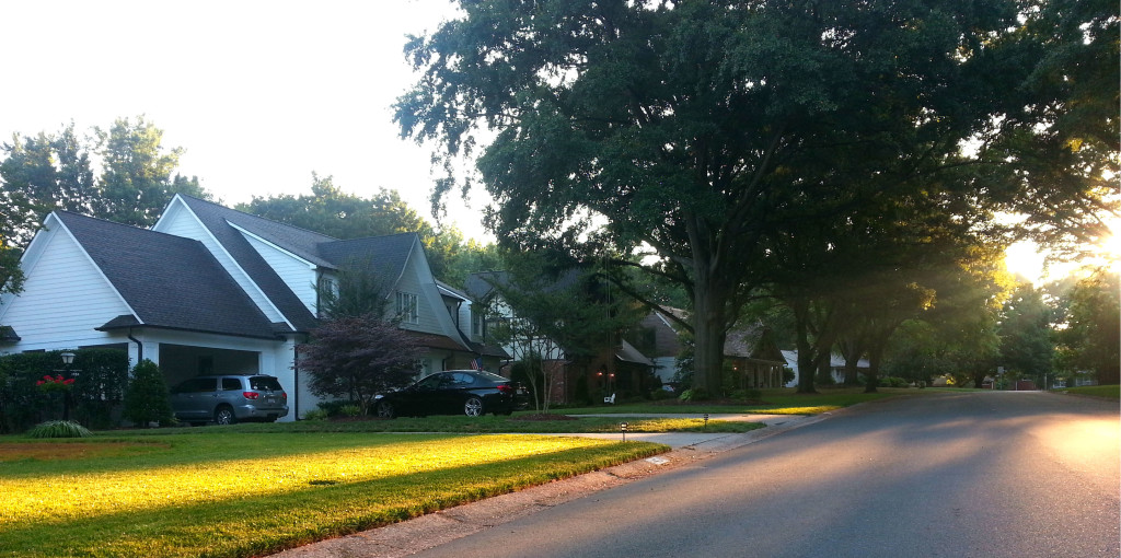 A tree lined street shot with newly updated homes.