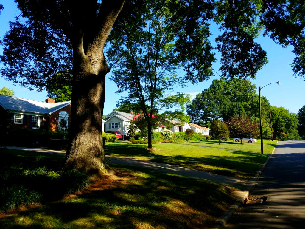 A quiet street in Montford Park with ranch houses and an oak tree in the foreground.